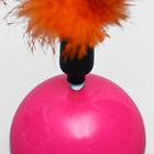 Игрушка-неваляшка для кошек, с перьями, цвет МИКС - Фото 4