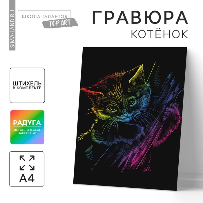 Гравюра «Котёнок» с металлическим эффектом «радуга» А4 - Фото 1