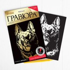 Гравюра «Собака» с металлическим эффектом золота А5 - Фото 1