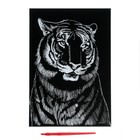 Гравюра «Тигр» с металлическим эффектом «золото» А4 - Фото 4