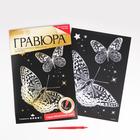 Гравюра «Бабочки», металлический эффект «серебро», 21 х 30 см - Фото 1