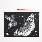 Гравюра «Бабочки», металлический эффект «серебро», 21 х 30 см - Фото 2