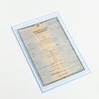 Папка для свидетельства о рождении, А5 «Коллаж» - Фото 3