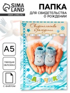 Папка для свидетельства о рождении, А5 «Мальчик» - Фото 1