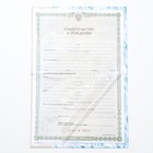 Папка для свидетельства о рождении, А5 «Мальчик» - Фото 2