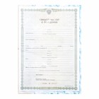 Папка для свидетельства о рождении, А5 «Мальчик» - Фото 5