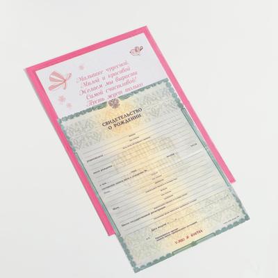 Папка для свидетельства о рождении «Коллаж», для девочки, А5