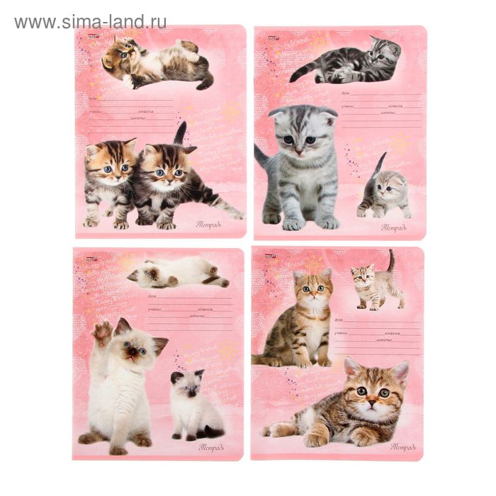 Тетрадь 18 листов линейка "Игривые котята", обложка картон хромэрзац, 5 видов МИКС - Фото 1