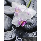 Фотообои К-095 «Белая орхидея» (4 листа), 140 × 200 см - Фото 1