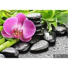 Фотообои К-008 "Розовая орхидея" (6 листов), 200х140 см - Фото 1