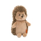 Мягкая игрушка «Ёжик Колюнчик» в очках, 20 см - Фото 1