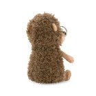 Мягкая игрушка «Ёжик Колюнчик» в очках, 20 см - Фото 3