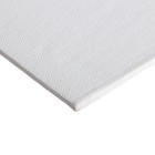 Холст на оргалите 4 мм, 50 х 60 см, хлопок 100%, акриловый грунт - Фото 1