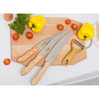 Нож для овощей «Фортуна», лезвие 13,5 см, деревянная рукоять - Фото 5