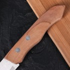 Нож для овощей «Фортуна», лезвие 13,5 см, деревянная рукоять - Фото 4