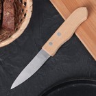 Нож для овощей «Гурман», лезвие 9 см, деревянная рукоять - Фото 1