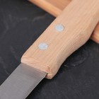 Нож для овощей «Гурман», лезвие 9 см, деревянная рукоять - Фото 2