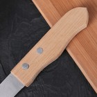 Нож для овощей «Гурман», лезвие 9 см, деревянная рукоять - Фото 3