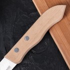 Нож для овощей «Фортуна», лезвие 13,5 см, деревянная рукоять - Фото 3