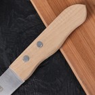 Нож для овощей «Гурман», лезвие 13,5 см, деревянная рукоять - Фото 4