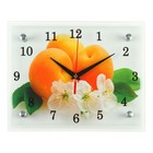 Часы-картина настенные, серия: Кухня, "Абрикосы с цветами", 20х25  см - фото 8436785