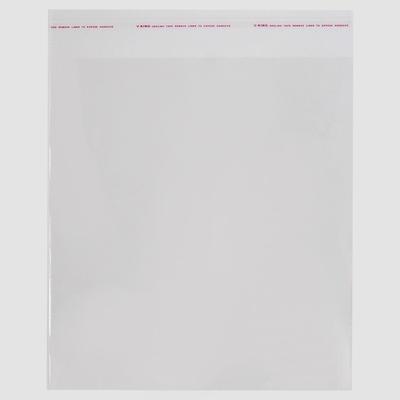 Пакет с липкой лентой 12,5 х 17,5/4 см, с отверстием