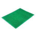 Покрытие ковровое щетинистое на основе «Травка», 45×60 см, цвет зелёный - Фото 2