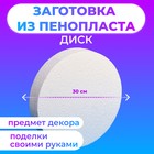 Флористическая основа из пенопласта "Диск", 30 х 5 см - Фото 1