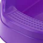 Туалет Макси с порогом, 64 х 44 х 16 см, фиолетовый - Фото 2