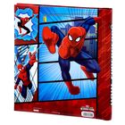 Фотоальбом на 20 магнитных листов "Наш супергерой", Человек Паук - Фото 2