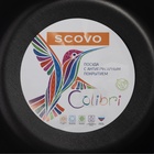 Сковорода Colibri, d=18 см, пластиковая ручка, антипригарное покрытие, алюминий, голубая - Фото 6