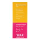 Мини-печь «Чудо», 500 Вт, до 1.5 кг, серебристая - Фото 9