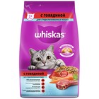 Сухой корм Whiskas для стерилизованных кошек, говядина, 1,9 кг 1249262 - фото 53001