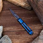 Нож складной «Аполлон» 15.2 см, клинок 67 мм/1.8 мм, цвет МИКС - Фото 1