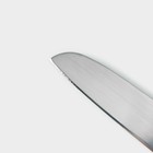 Нож для овощей кухонный складной, 7 см, цвет МИКС - фото 4551237