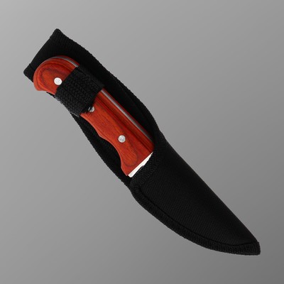 Нож туристический «Абсалон», 16 см, клинок 75 мм/3 мм, дерево