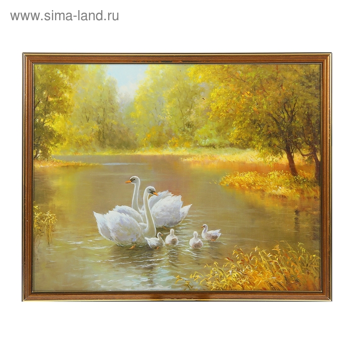 Картина "Семья лебедей"  43х53см - Фото 1