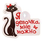 Автотабличка на присоске "Мне можно", 16 х8,6 см - Фото 1