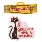 Автотабличка на присоске "Мне можно", 16 х8,6 см - Фото 3