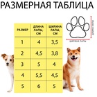 Ботинки "Кристмес", набор 4 шт, размер 4 (подошва 5,5 х 4,5 см), красные 1121101 - фото 13267566