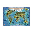 Карта Мира географическая для детей "Животный и растительный мир Земли", 101 х 69 см, ламинированная - фото 8438027