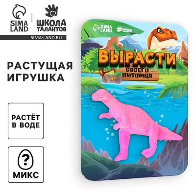 Растущие животные «Динозавр», МИКС