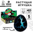 Растущие животные в чёрном яйце «Страна динозавров», МИКС - Фото 1