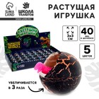 Растущие животные в круглом черном яйце «Страна динозавров», МИКС - Фото 1