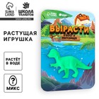 Растущие животные «Страна динозавров», МИКС - Фото 1