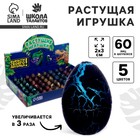 Растущие животные в чёрном яйце №1 мини «Страна динозавров», МИКС - Фото 1