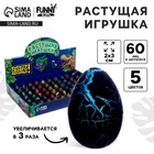 Растущие животные Funny toys в чёрном яйце №1 мини «Страна динозавров», МИКС - Фото 1