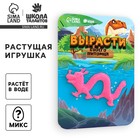 Растущие животные «Зоопарк», МИКС - Фото 1