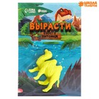 Растущие животные «Зоопарк», МИКС - Фото 2