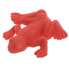 Детский опыт «Растущее животное. Морские животные», МИКС - Фото 6